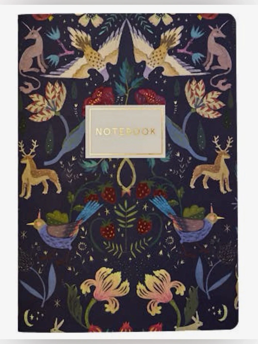 Bruno Visconti Soft Touch Fairytale Notebook Journal A5 NEW